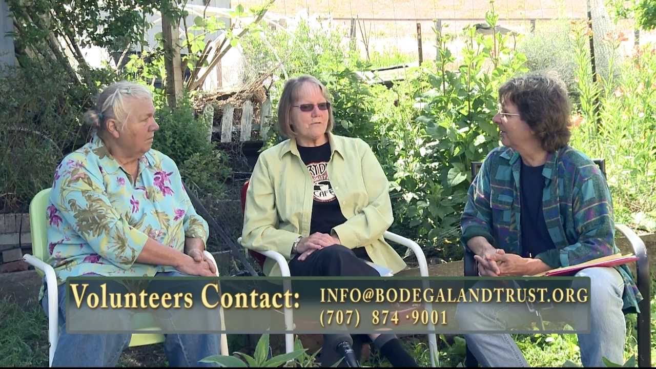 Bodega Bloggette Interview Linda Sauder & Mary Biggs Talk About The