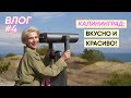 3 дня в Калининграде: топ мест, день рождения🥳