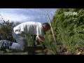 Documentaire  les rois des jardin sur mesure   part 2x2 