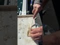 Why Rich Cuts Bait Like This