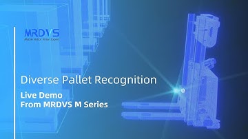 Live Demo on Diverse Pallet Recognition: Normal, Black and Wooden Pallet