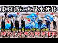 【※非常事態】マスコミが報じない..東京湾沿岸で年齢不詳の身元不明な水〇体が次々と発見された恐ろしく不気味な未解決事件７選！【ゆっくり解説】