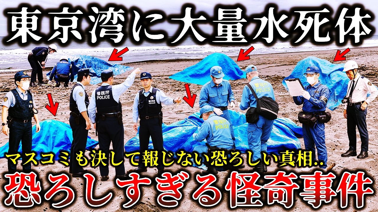 【※非常事態】マスコミが報じない..東京湾沿岸で年齢不詳の身元不明な水〇体が次々と発見された恐ろしく不気味な未解決事件７選！【ゆっくり解説】