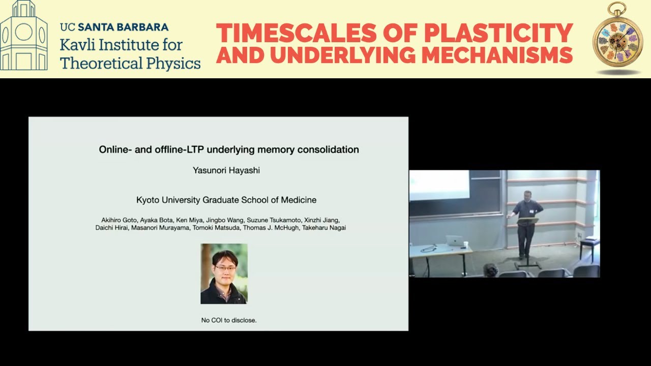 Stepwise synaptic plasticity events drive the early phase of... ▸ Yasunori Hayashi (Kyoto Univ.)