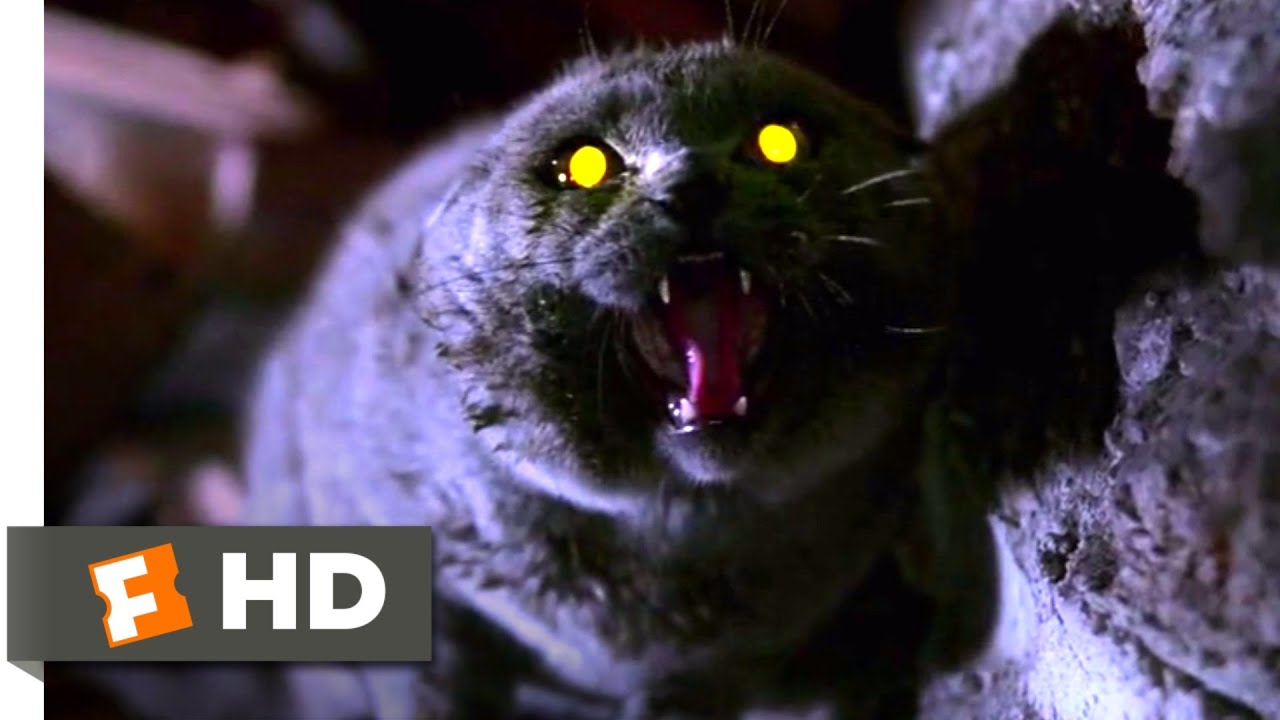 Pet Sematary (1989) - The Cat Comes 