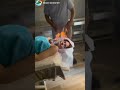 Türkiye traditional fire massage//MSD SURVEY#shorts