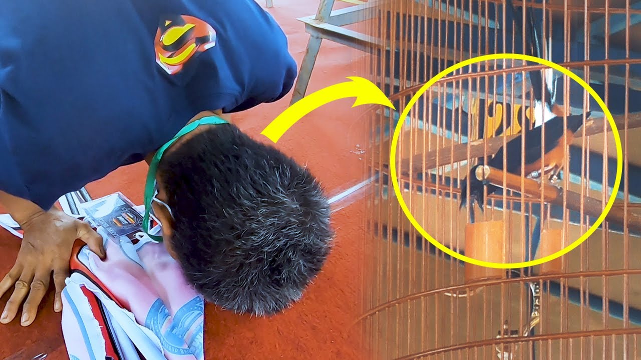 1st Anniversary SMM#4: Perawat Slamet Sujud Sukur Setelah Menang Telak Tiket 5,5 Juta