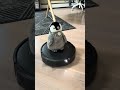 Just my penguin riding on my Roomba