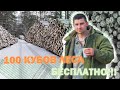 100 кубов леса БЕСПЛАТНО! Как получить? Лес на строительство дома.