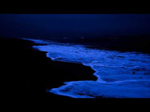 Dark Ocean Waves at Night — Ultimate Sleep Aid for 10 Hours (Black Screen)