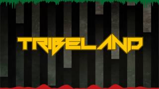 Tribeland - Interception