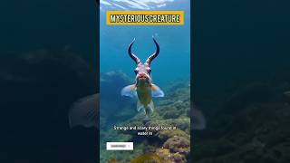 What are those??#ytshorts #facts #viral #wildlife
