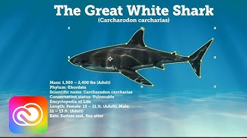 Remove an Object from a Scene using After Effects | Adobe Creative Cloud