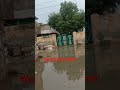 #viral