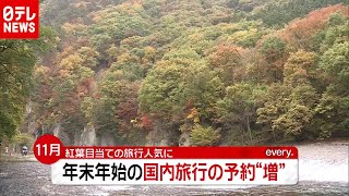 「新型コロナ」で冷え込んだ観光業に変化　“GoTo”効果で紅葉目当ての旅行人気に（2020年11月2日放送「news every.」より）