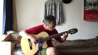 I Will (Fingerstyle guitar)