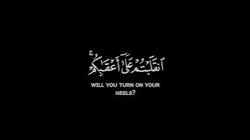#قران_كريم #ماهر_المعيقلي #شاشه_سوداء #سورة_آل_عمران #استغفر_الله #اللهم_صل_وسلم_على_نبينا_محمد