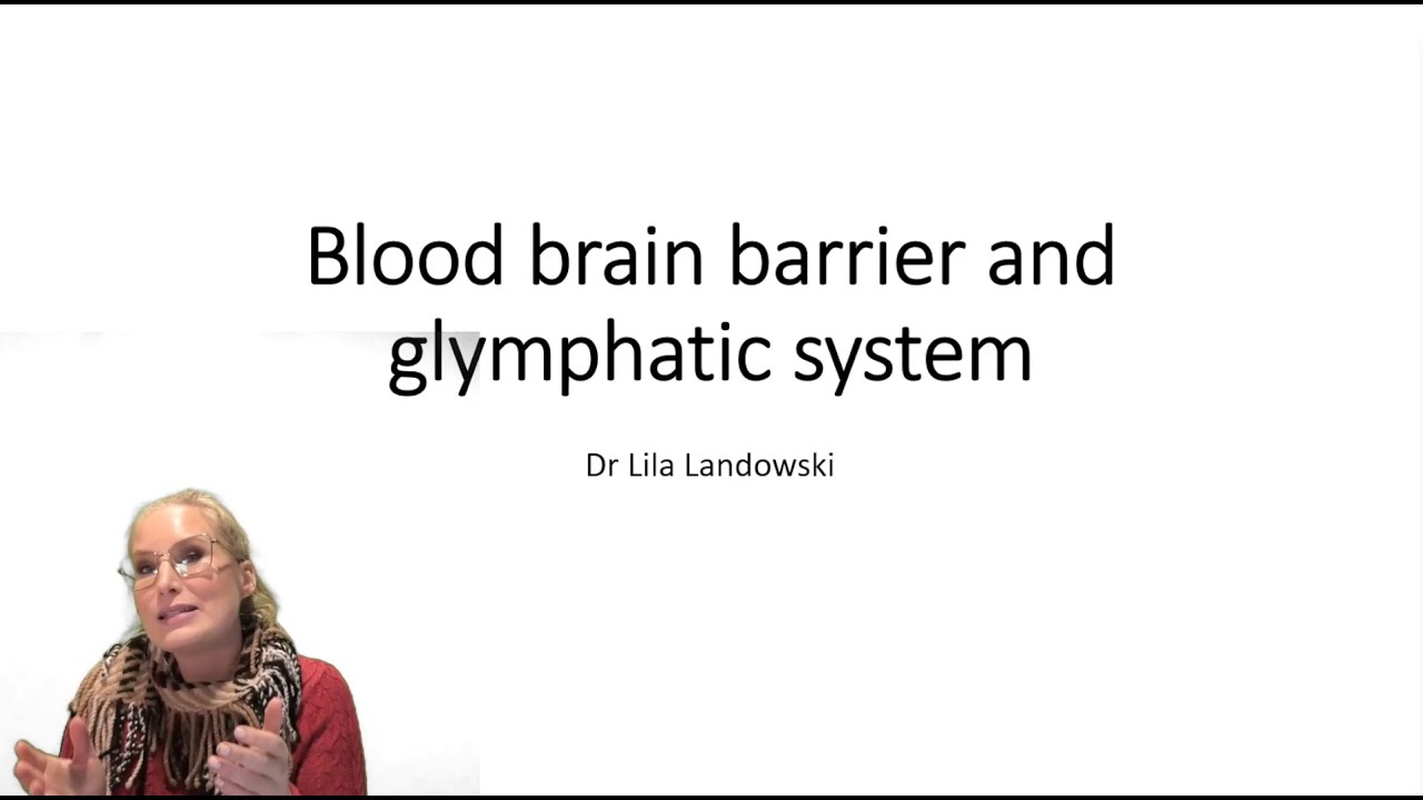 The blood brain barrier and glymphatic system
