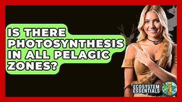 Is There Photosynthesis In All Pelagic Zones? - Ecosystem Essentials