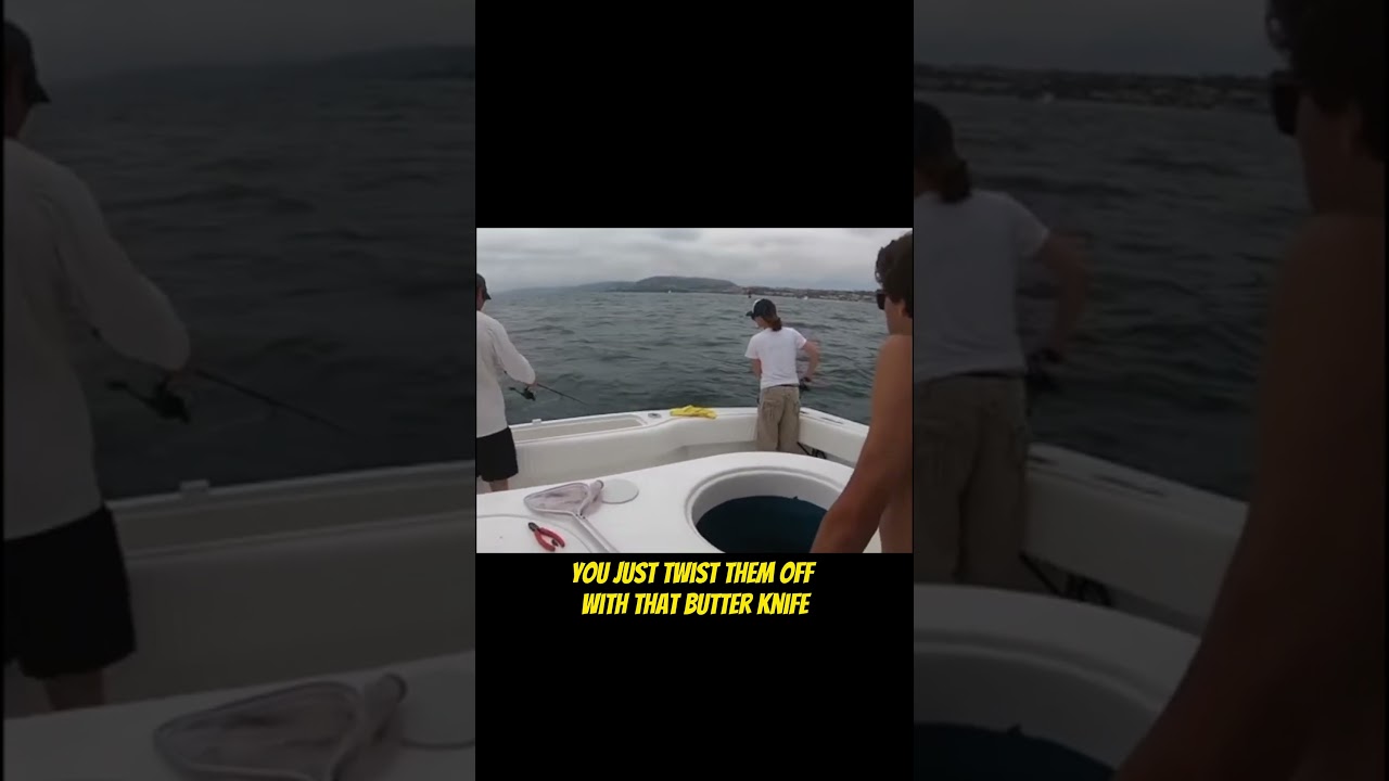 Fishing with a Microfiber Towel as Bait! 