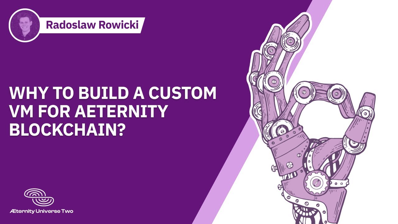 Why to build a custom VM for aeternity blockchain?