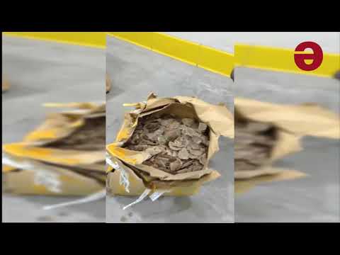 სტამბოლის აეროპორტის საბაჟო სამსახურმა 1.5 მლნ დოლარის პანგოლინების ქერცლი ამოიღო