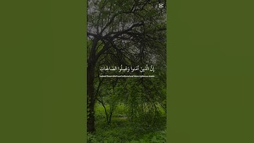 ‏استمع للقرآن الكريم 15 ثانية وأريح سمعك
