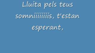 Video thumbnail of "Els teus somnis - Sopa de Cabra (Polseres vermelles) amb lletra"