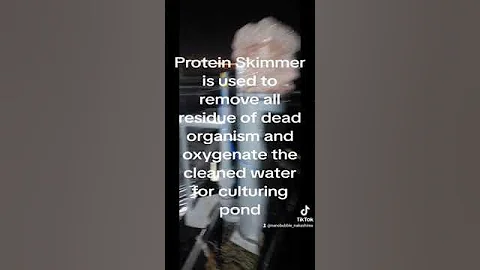Protein skimmer using Nakashima fine bubble nozzle in a shrimp pond