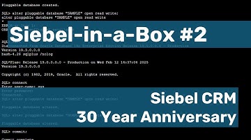 Siebel-in-a-Box Part 2: Drop the Sample