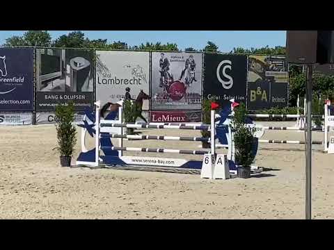Nelson van ‘t Roosakker CSIYH Bonheiden