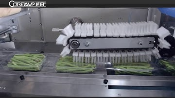 French Green Beans flow packing machine,longe beans flow wrap packaging machine