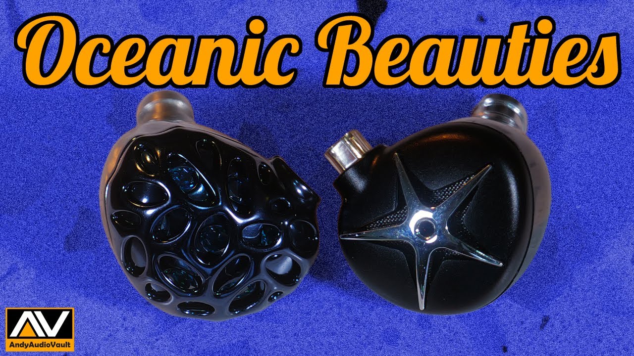 Морские звезды и китовые акулы TRN — они заслуживают большего внимания.