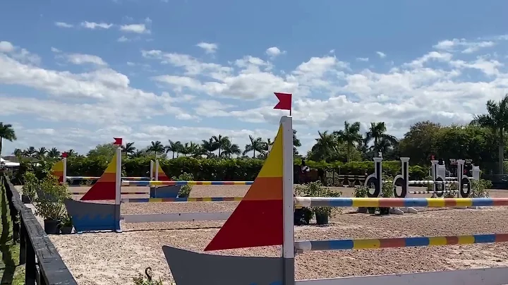 Children's Jumper Classic WEF 8