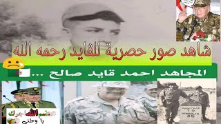 صور نادرة للفريق أحمد ڨايد صالح 
Gaid Salah Algeria