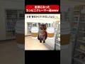 コンビニに来るヤバすぎるクレーマー達まとめてみた #猫ミーム #猫マニ #社畜