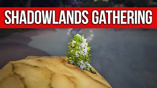 SHADOWLANDS GATHERING - Shell of What it Could Be