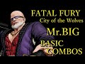 餓狼伝説 CotW Mr.BIG 基本 コンボ【 FATAL FURY CotW Mr.BIG BASIC COMBOS 】