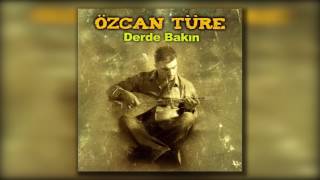 Özcan Türe - Boyakçının Gelini Resimi