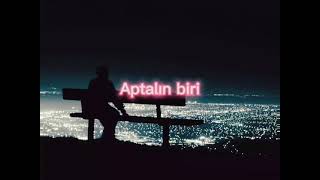 ... Gecenin Biri , Aptalın Biri ...