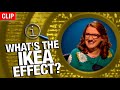 QI | What's The IKEA Effect?
