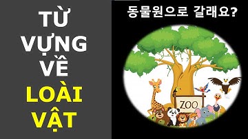 15 Phút Tiếng Hàn #3: Từ vựng về các LOÀI VẬT | WEducation