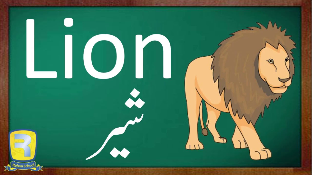 Thumbnail for Complete A to Z by Anwar Iqbal