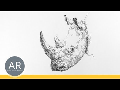 Lernen Sie Tiere zu zeichnen: Eine einfache Anleitung für alle Zeichnergruppen