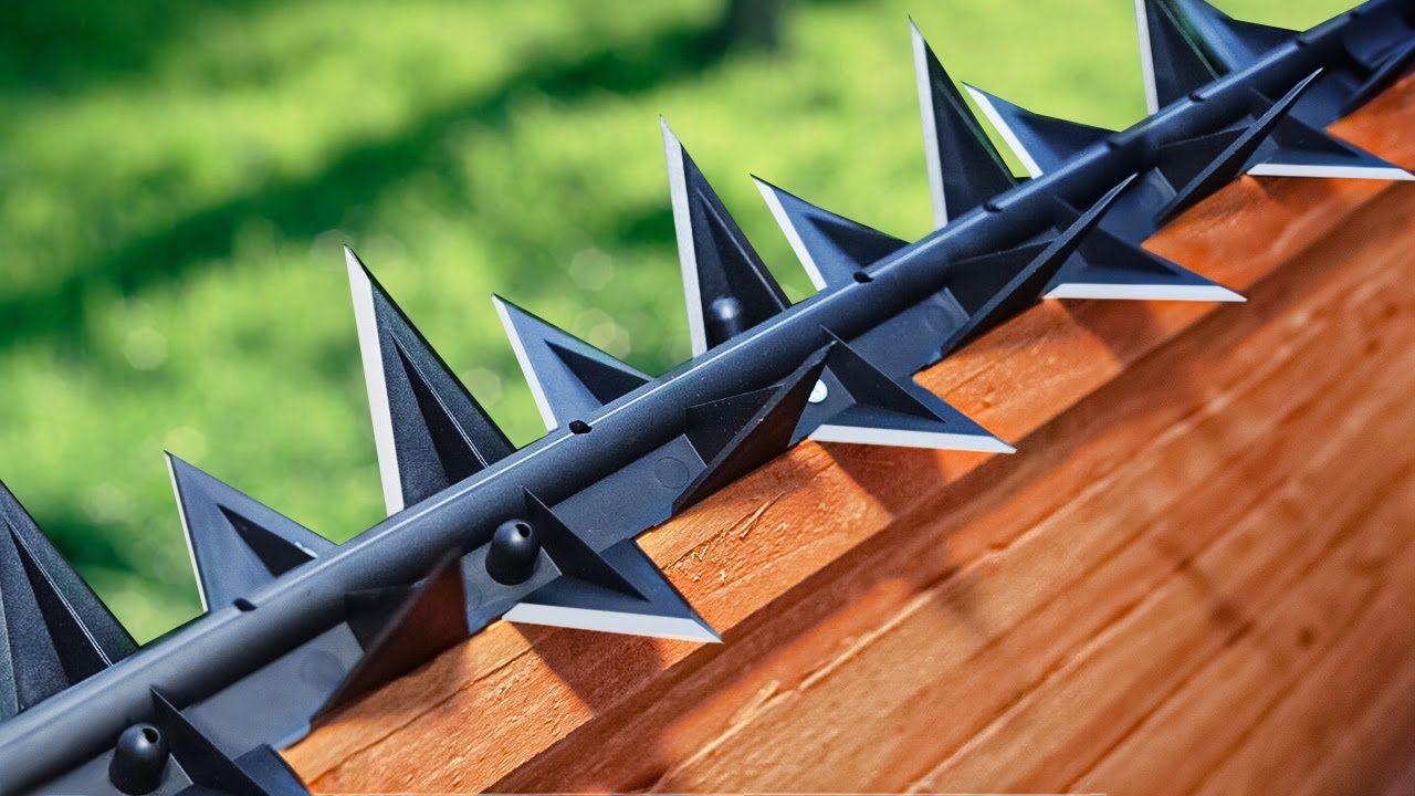 USB или Bluetooth мышь, что лучше USB или Bluetooth мышь, что лучше