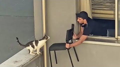 When the Cat Distribution System chooses you❤️