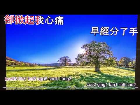 飘雪 /DIY