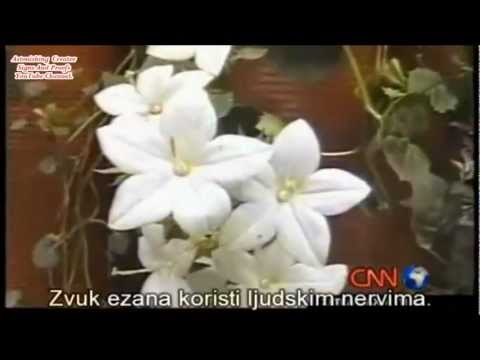 Nature prostrate to Allah_Caught On Camera