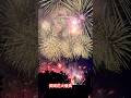 Nagaoka Fireworks2025🇯🇵/長岡花火 #traveljapan #花火 #shots