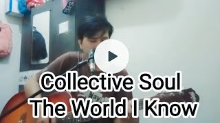 Collective Soul - The world i know ( cover)
